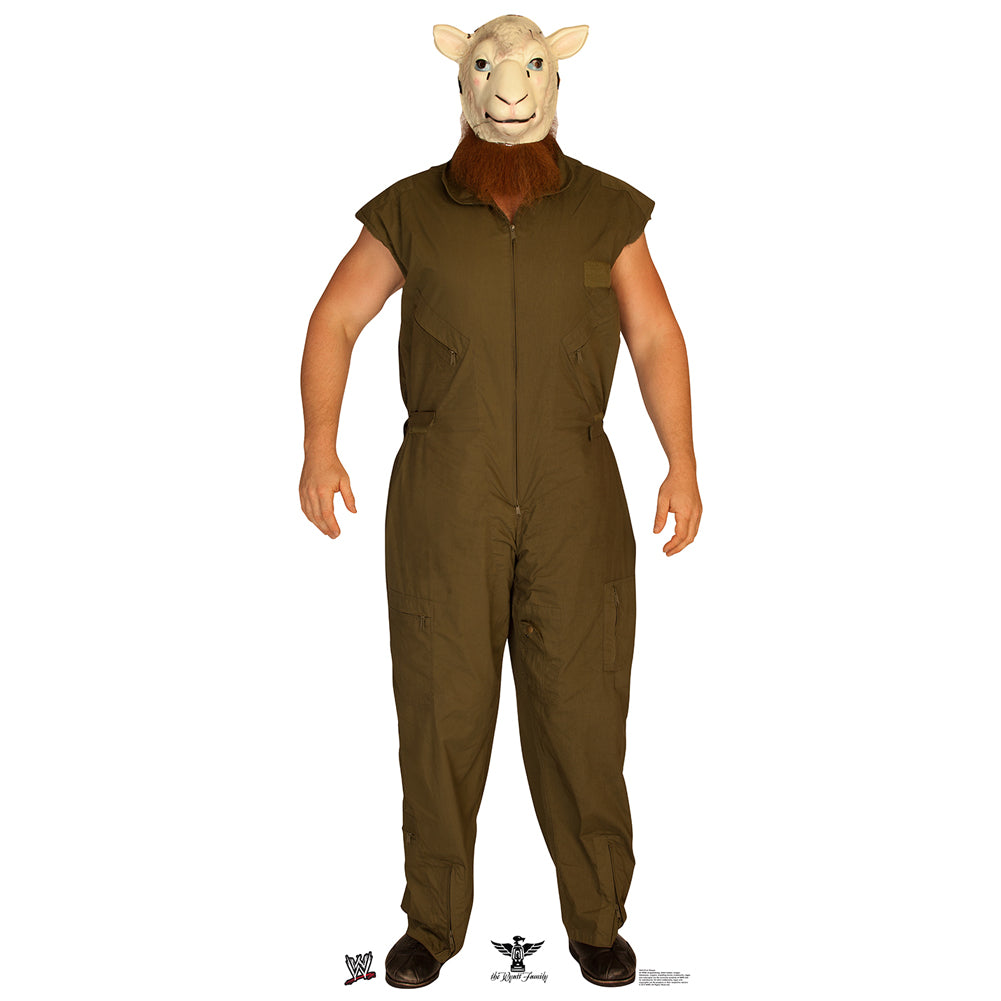 Erick Rowan Standee Pwcatalog