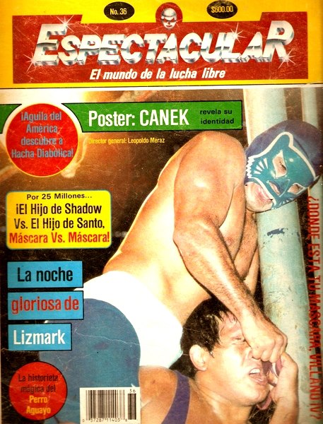 Espectacular 36 Magazine PWcatalog