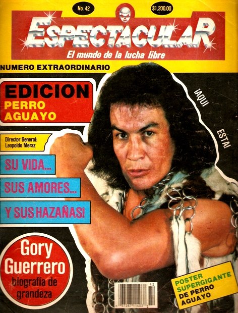 Espectacular 42 Magazine PWcatalog