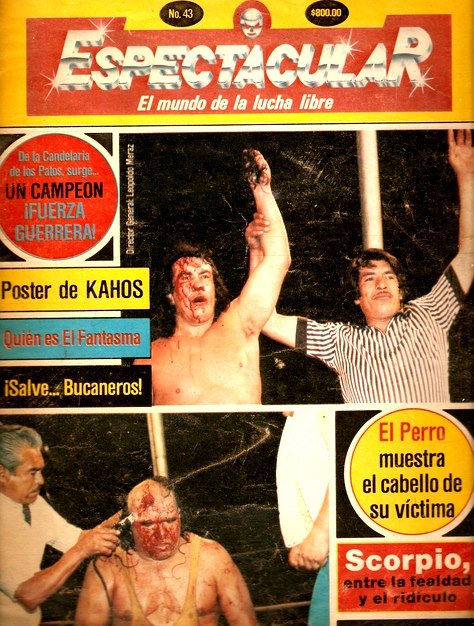 Espectacular 43 Magazine PWcatalog