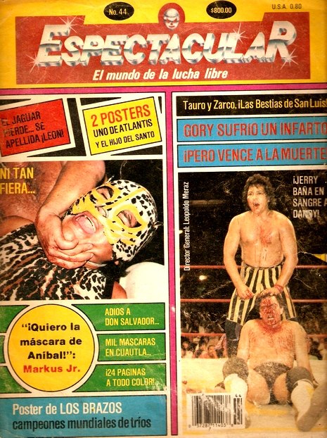 Espectacular 44 Magazine PWcatalog