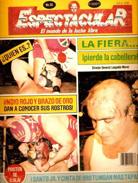 Espectacular 55 Magazine PWcatalog