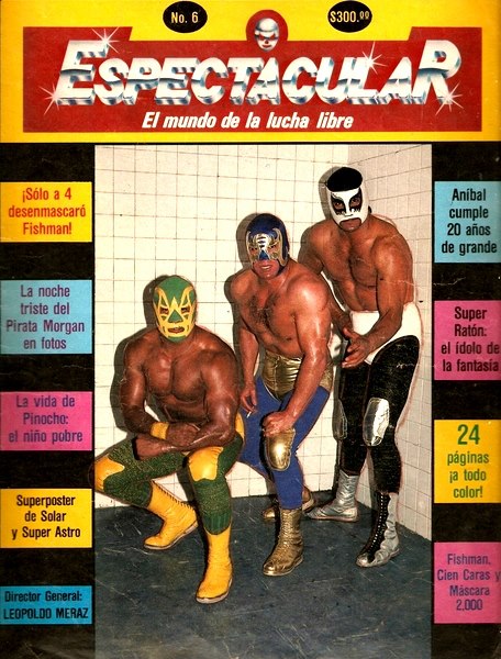 Espectacular 6 Magazine PWcatalog