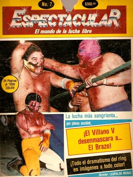 Espectacular 7 Magazine PWcatalog