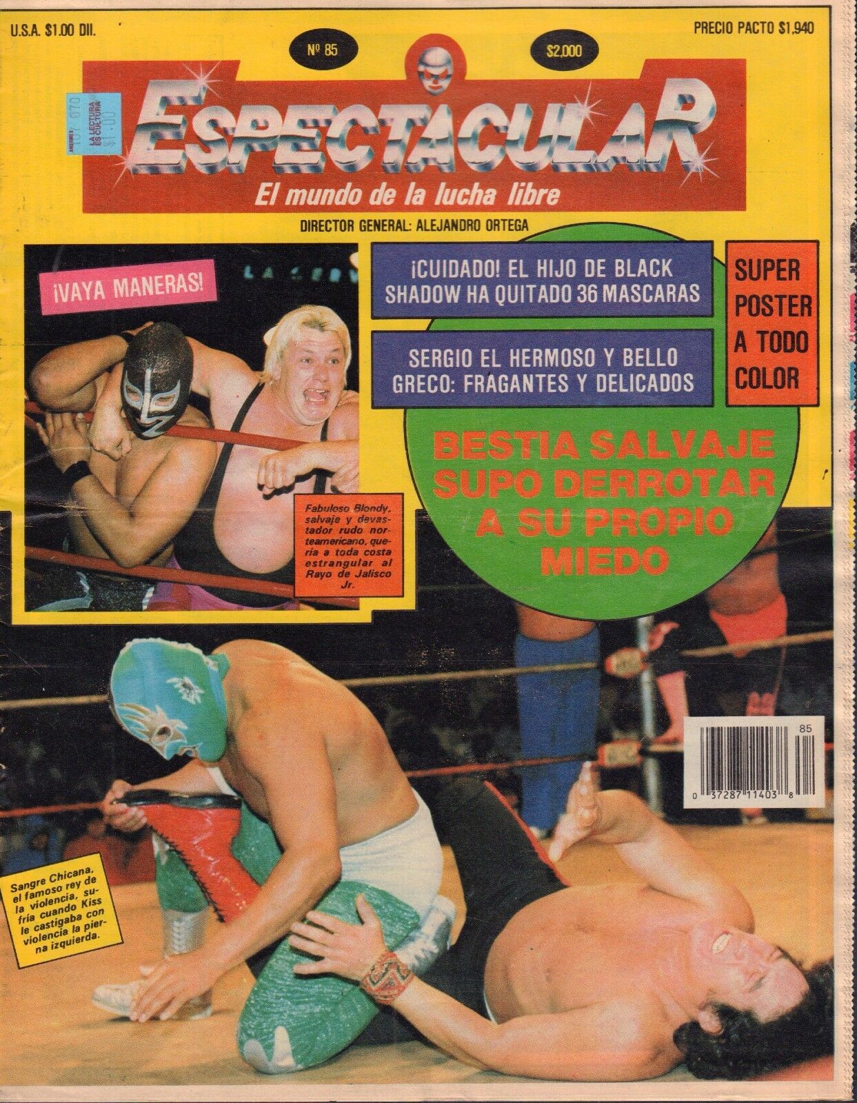 Espectacular 85 Magazine PWcatalog