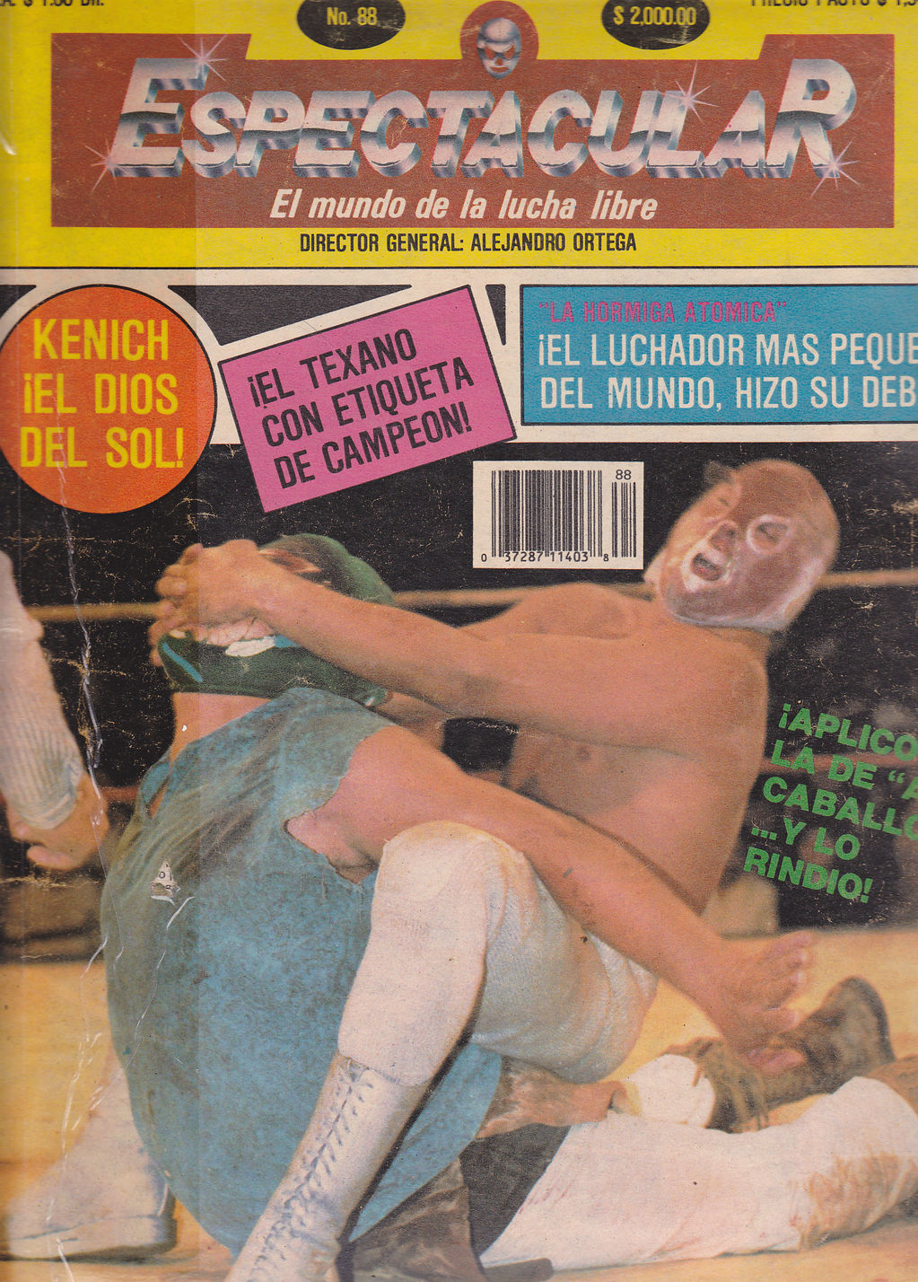 Espectacular 88 Magazine PWcatalog