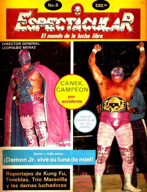 Espectacular 8 Magazine PWcatalog