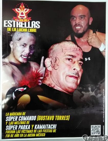 Estrellas De La Lucha Libre 65 Magazine PWcatalog