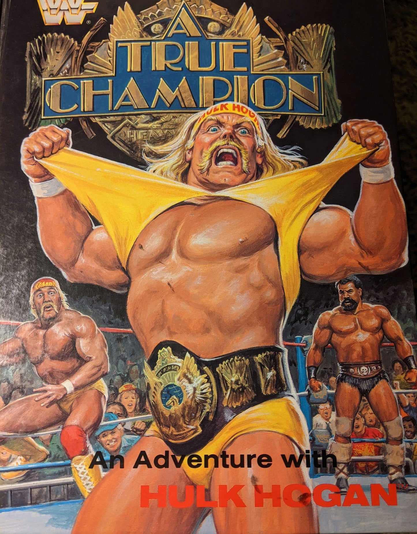 WWF True Champion Hulk hogan Magazine Pwcatalog