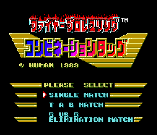 Fire Pro Wrestling Combination Tag PWcatalog