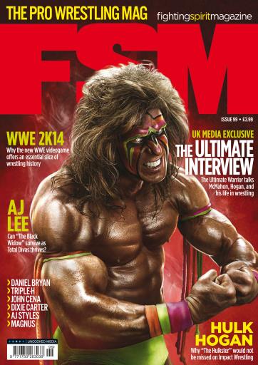 Fighting Spirit Magazine 99 Magazine PWcatalog