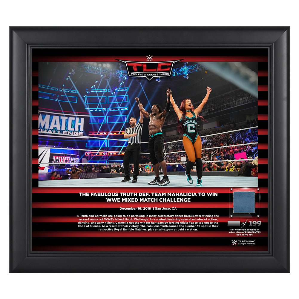 Fabulous Truth TLC 2018 15 x 17 Framed Plaque w Ring Canvas Pwcatalog