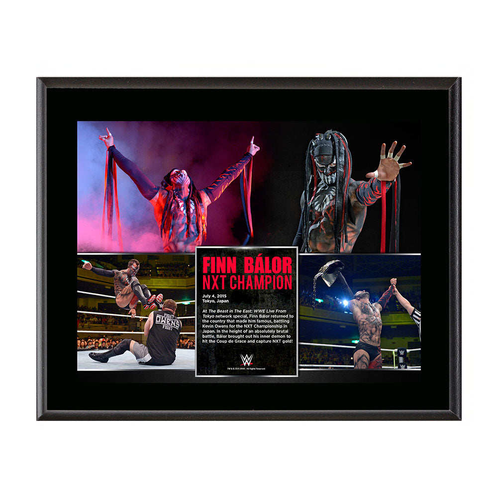 Finn Bálor NXT Championship Victory 10.5 x 13 Photo Collage Plaque Pwcatalog