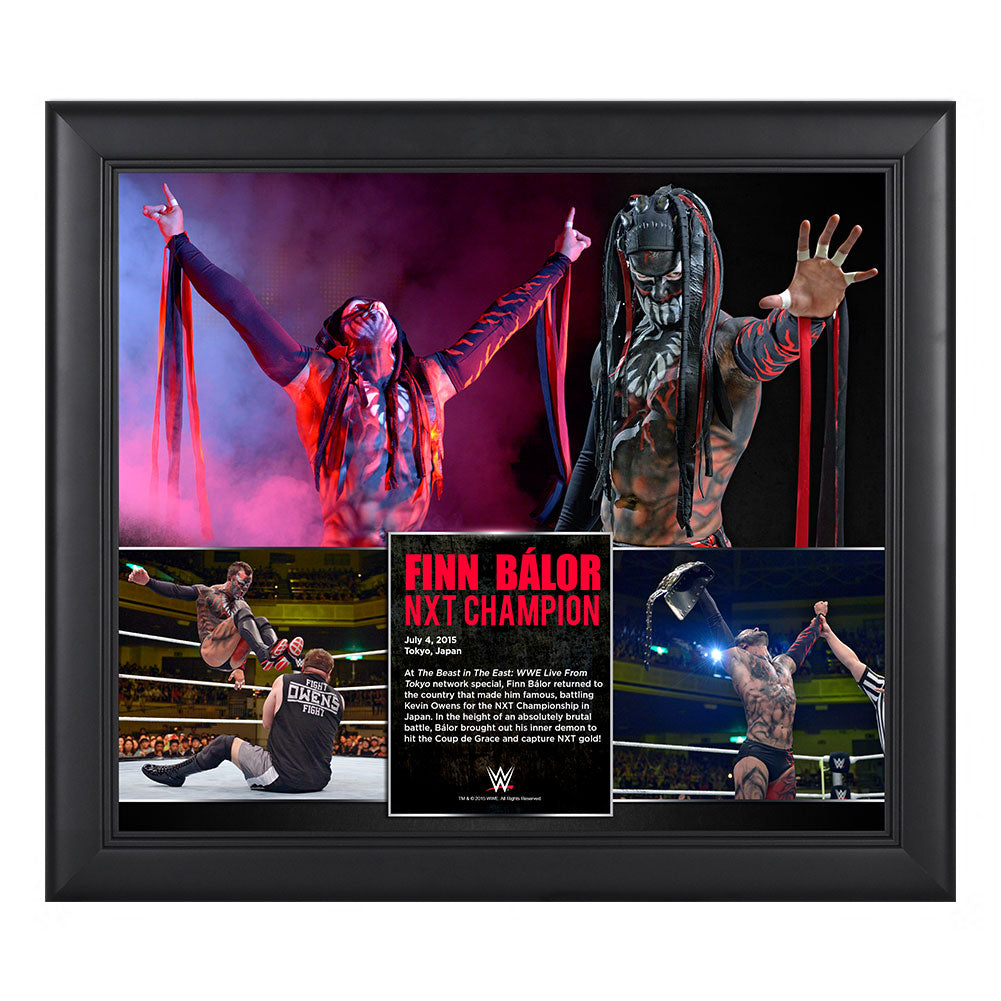 Finn Bálor NXT Championship Victory 15 x 17 Framed Photo Collage Pwcatalog