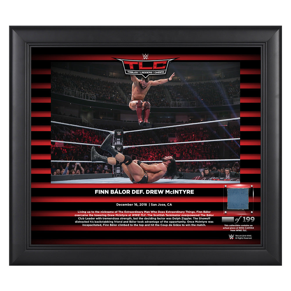 Finn Balor TLC 2018 15 x 17 Framed Plaque w Ring Canvas Pwcatalog