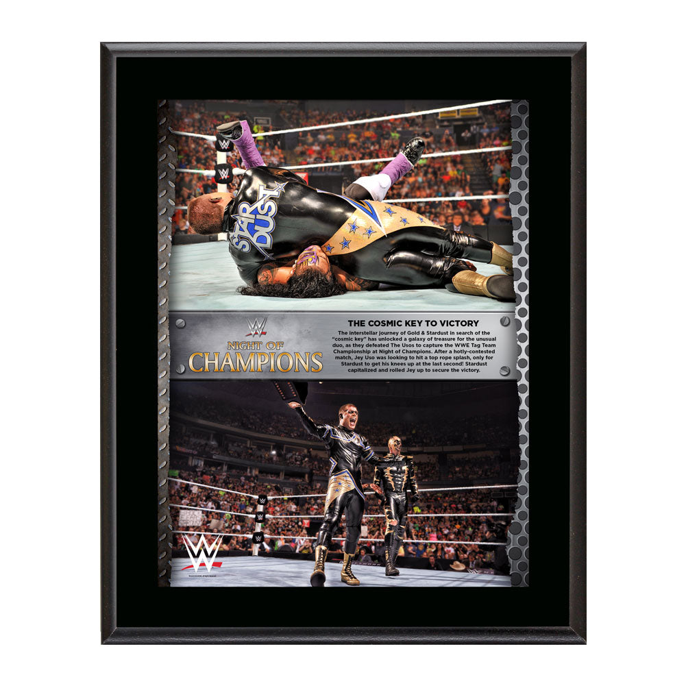 Gold & Stardust Night of Champions Commemorative Collage Pwcatalog