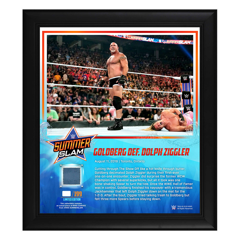 Goldberg SummerSlam 2019 15 x 17 Framed Plaque w Ring Canvas Pwcatalog