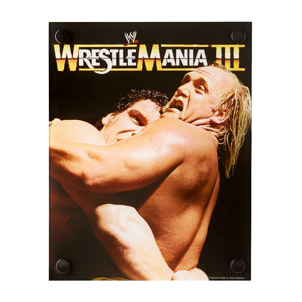 Hulk Hogan & Andre The Giant WrestleMania III Acrylic Wall Art Pwcatalog