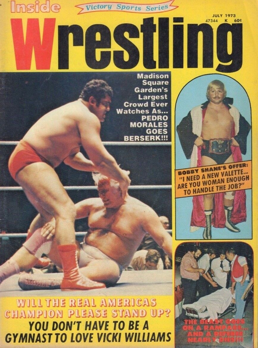 Inside Wrestling July 1973 Magazine PWcatalog