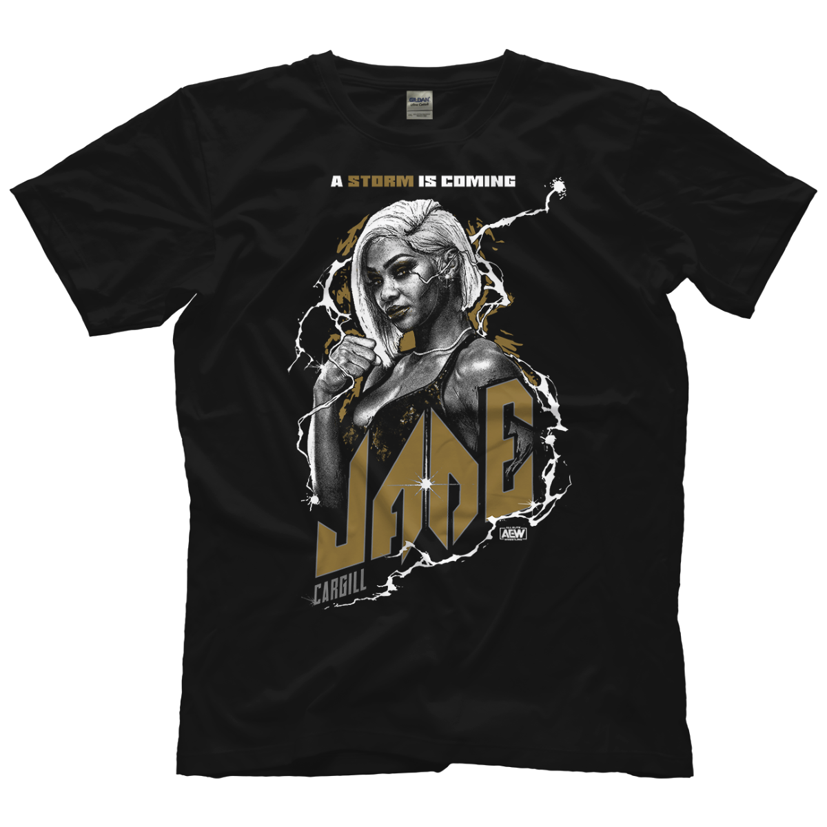 Jade Cargill A Storm is Coming T-Shirt Pwcatalog