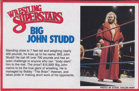 Big John Studd Series 1 PW Catalog