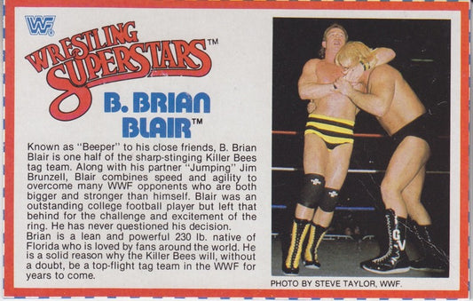 B. Brian Blair Series 4 PW Catalog