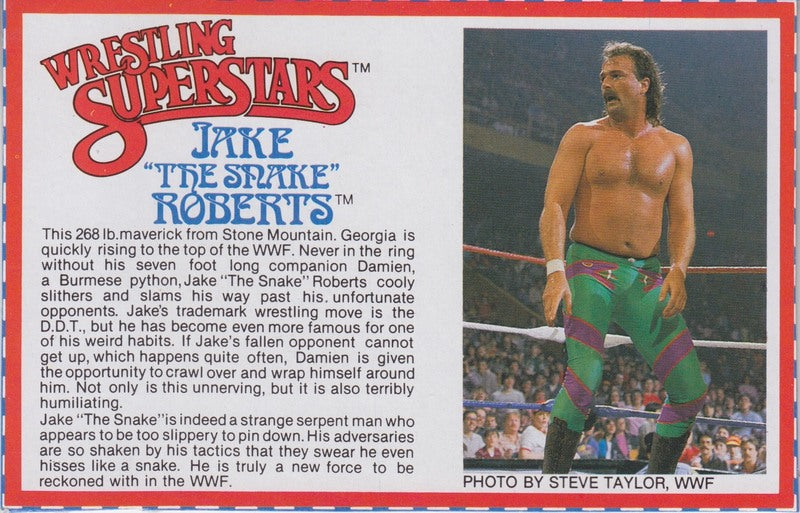 Jake "The Snake" Roberts Series 4 PW Catalog