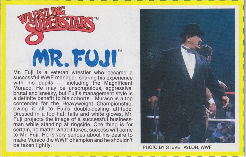 Mr. Fuji Series 4 PW Catalog