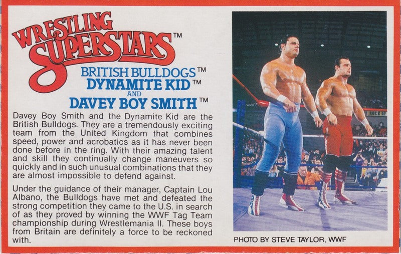 British Bulldogs Tag Team Box Bio card (no individual cards were created for solo packaging) PW Catalog