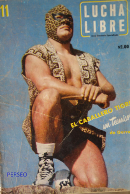 Lucha Libre Volume 11 Magazine PWcatalog