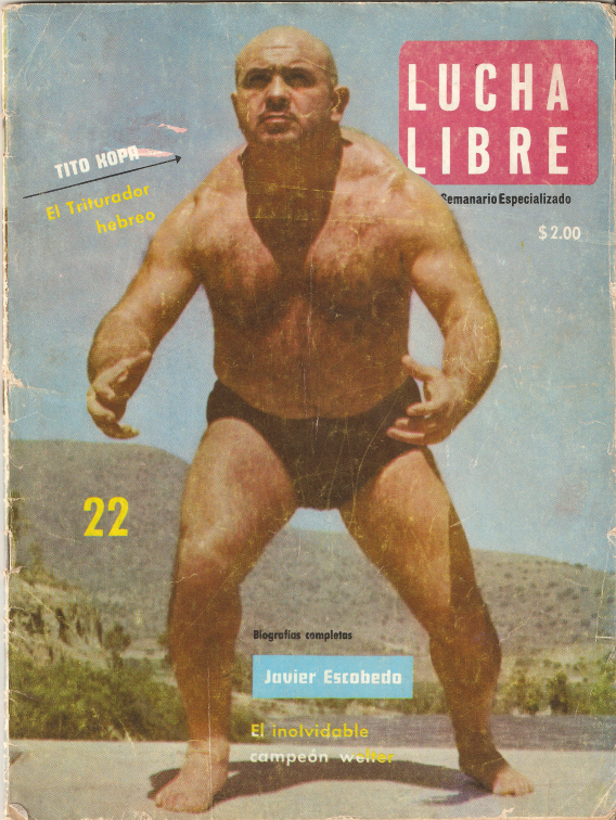 Lucha Libre Volume 22 Magazine PWcatalog
