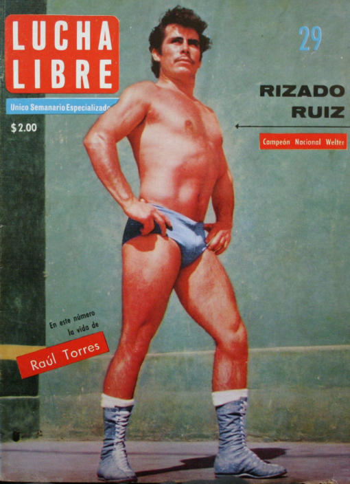 Lucha Libre Volume 29 Magazine PWcatalog