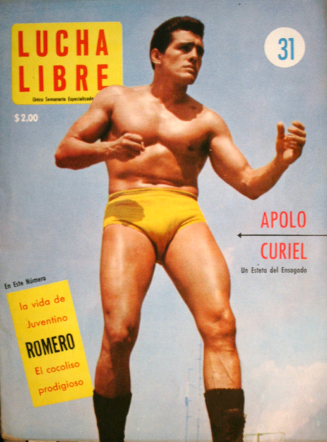 Lucha Libre Volume 31 Magazine PWcatalog