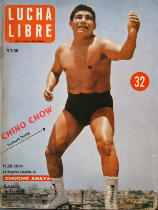 Lucha Libre Volume 32 Magazine PWcatalog