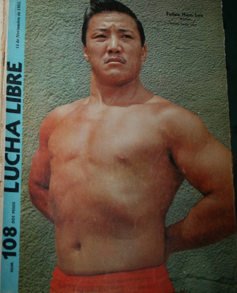 Lucha Libre Volume 108 Magazine PWcatalog