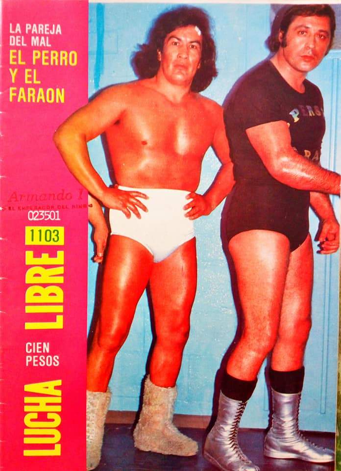 Lucha Libre Volume 1103 Magazine PWcatalog