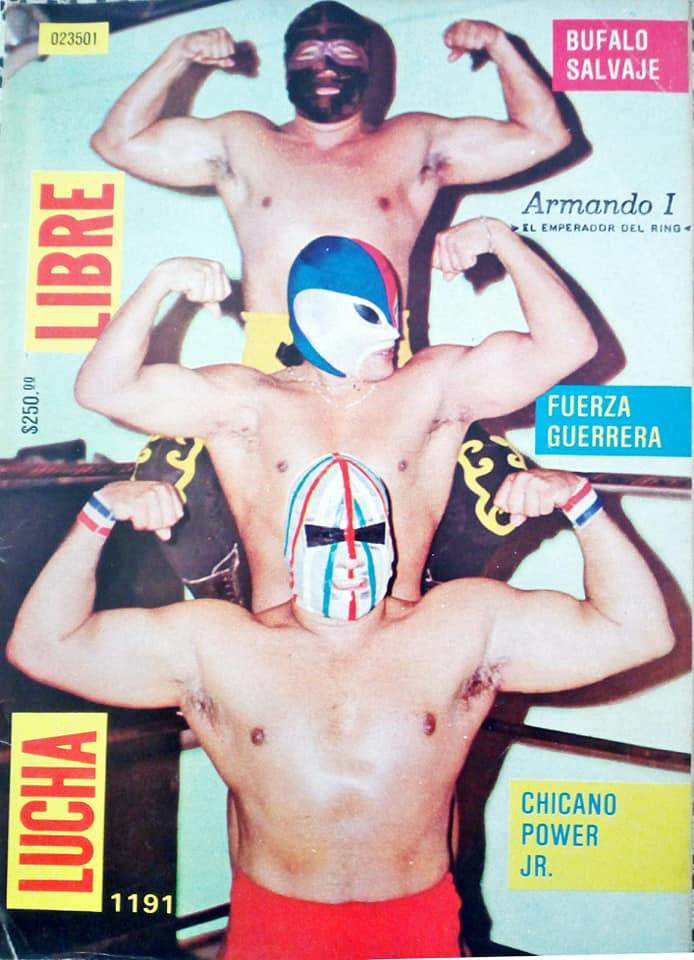 Lucha Libre Volume 1191 Magazine PWcatalog