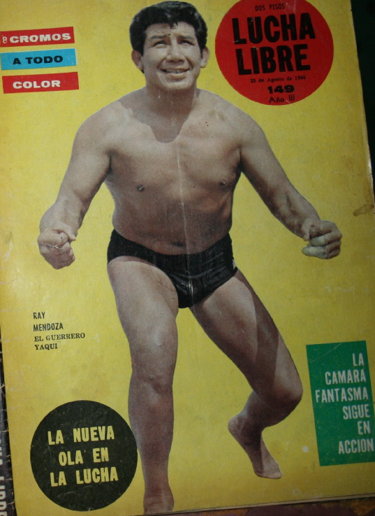 Lucha Libre Volume 149 Magazine PWcatalog
