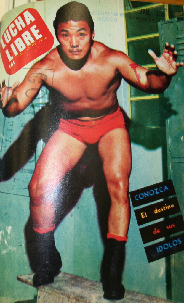 Lucha Libre Volume 161 Magazine PWcatalog