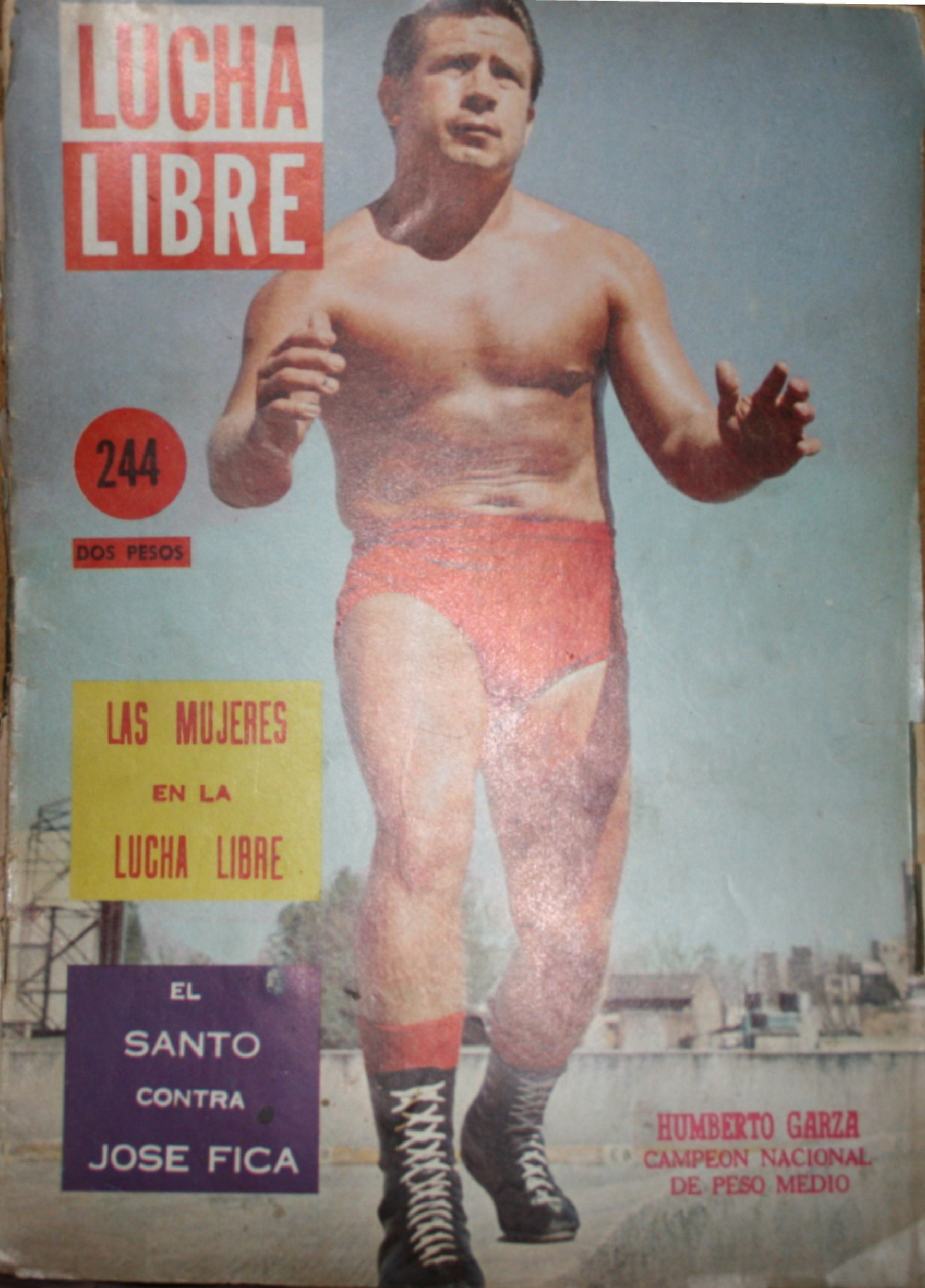 Lucha Libre Volume 244 Magazine PWcatalog