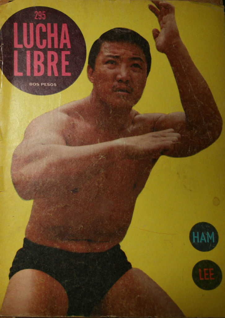 Lucha Libre Volume 295 Magazine PWcatalog