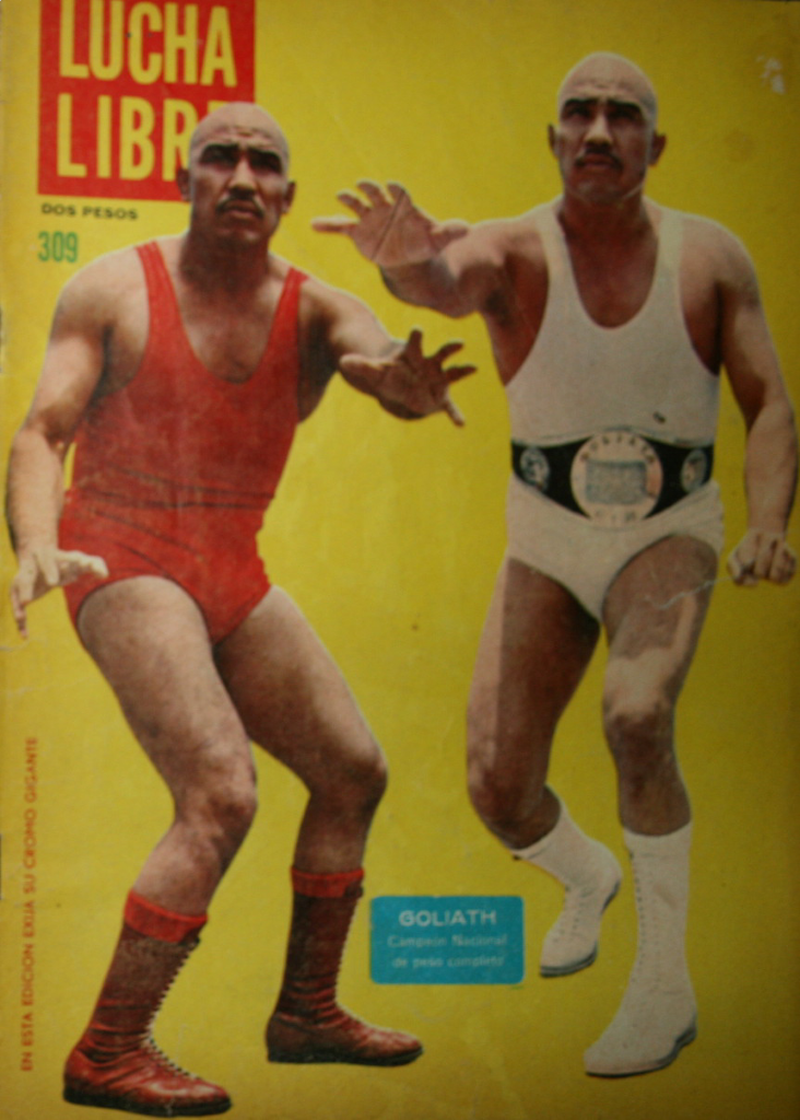 Lucha Libre Volume 309 Magazine PWcatalog