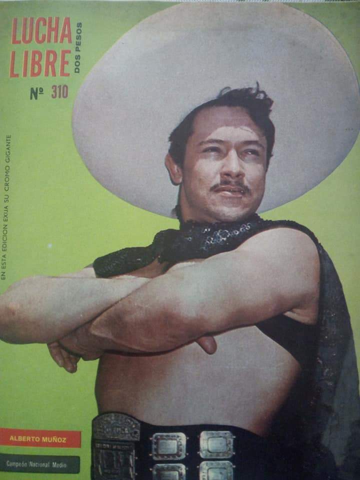 Lucha Libre Volume 310 Magazine PWcatalog