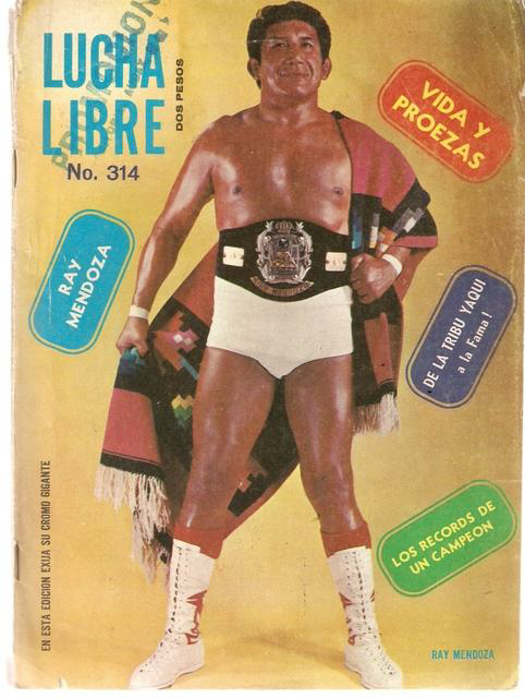 Lucha Libre Volume 314 Magazine PWcatalog