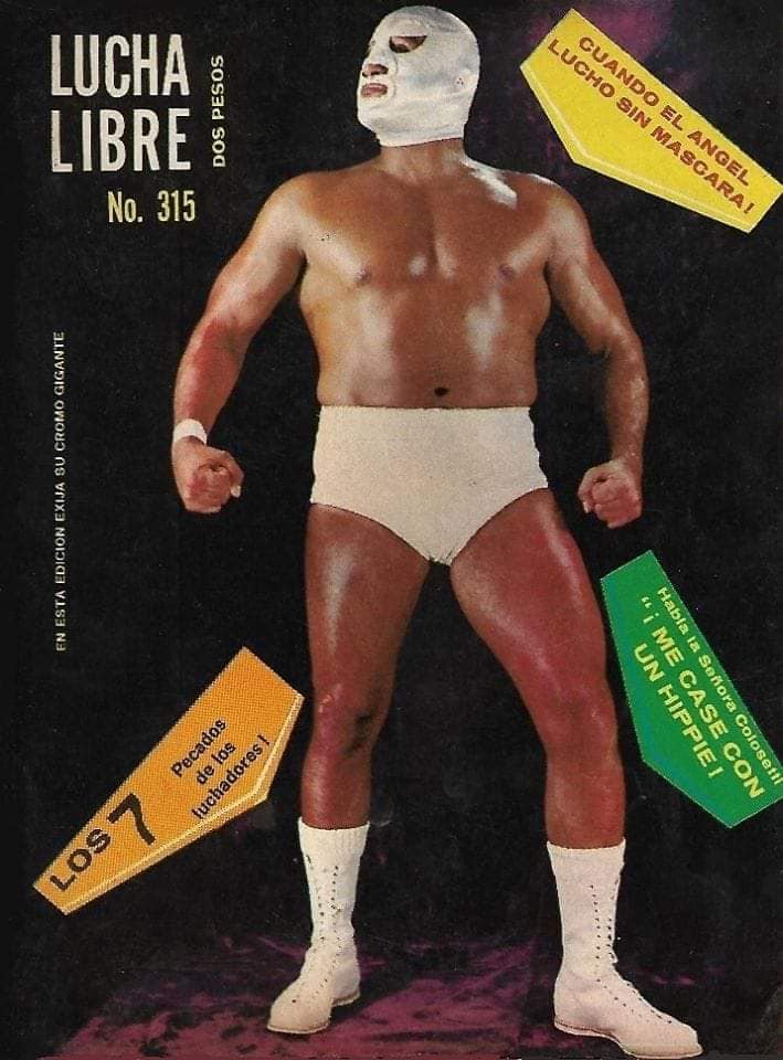 Lucha Libre Volume 315 Magazine PWcatalog