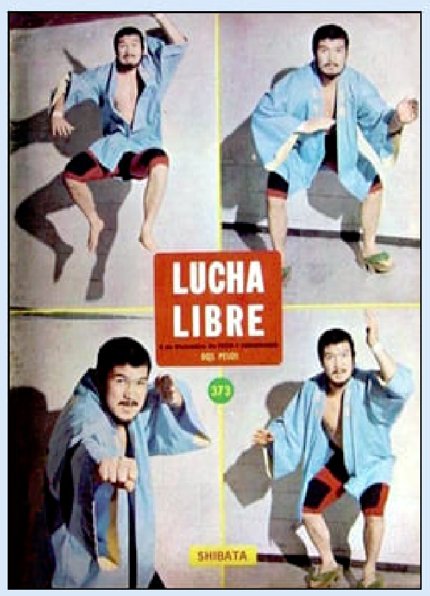 Lucha Libre Volume 373 Magazine PWcatalog