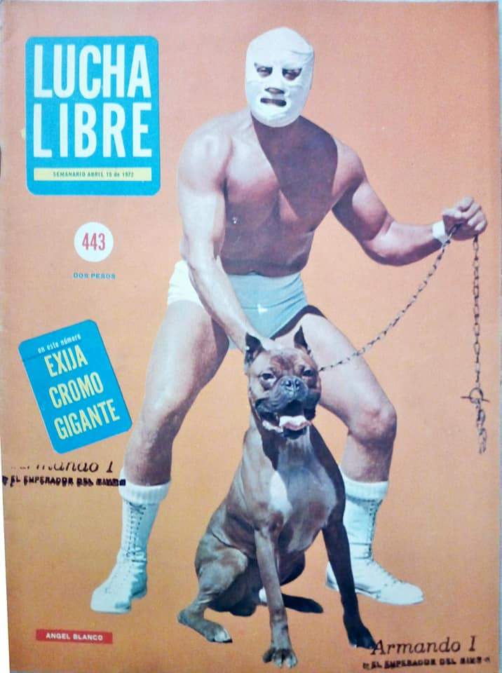 Lucha Libre Volume 443 Magazine PWcatalog