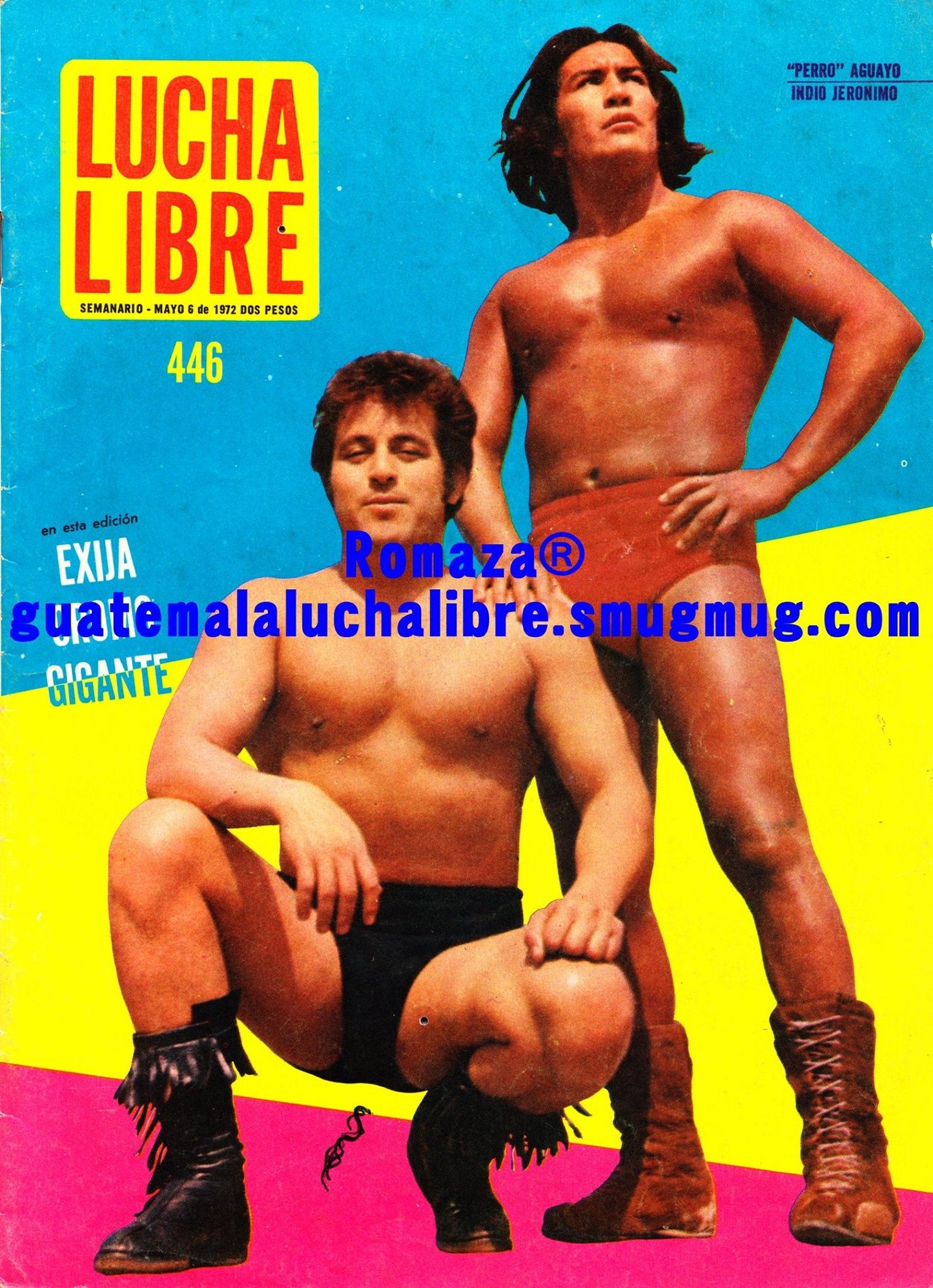Lucha Libre Volume 446 Magazine PWcatalog