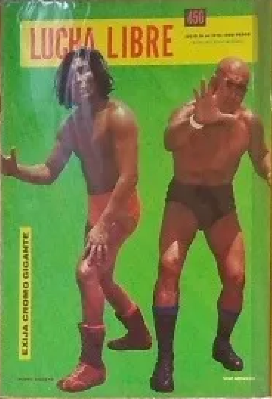 Lucha Libre Volume 450 Magazine PWcatalog