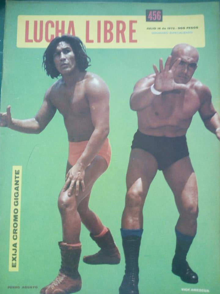 Lucha Libre Volume 456 Magazine PWcatalog